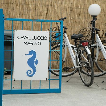 Cavalluccio Marino Apartamento Ilha de Ilha de Favignana Exterior foto