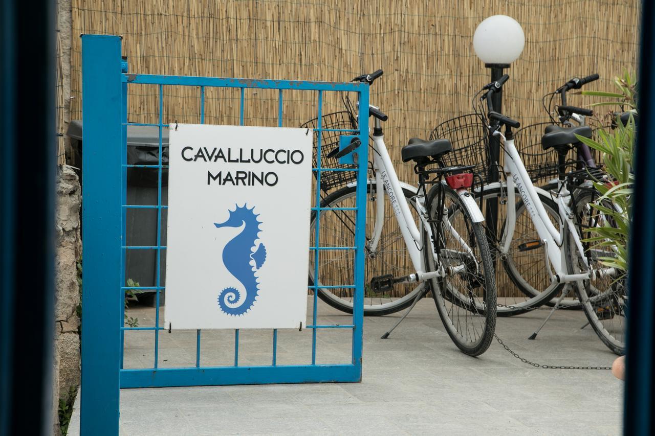 Cavalluccio Marino Apartamento Ilha de Ilha de Favignana Exterior foto